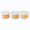 Candlelight Home Boxed Candles Set of 3 Candle Gift Set Happy Birthday - Floral Ochre 4PK