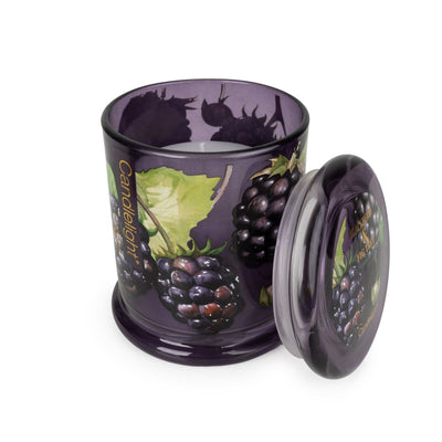 Candlelight Home LARGE GLASS LIDDED JAR BLACKBERRY & FIG TREE - 5% BLACKBERRY & FIG TREE SCENT