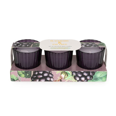 Candlelight Home SET OF 3 VOTIVES BLACKBERRY & FIG TREE - 5% BLACKBERRY & FIG TREE SCENT