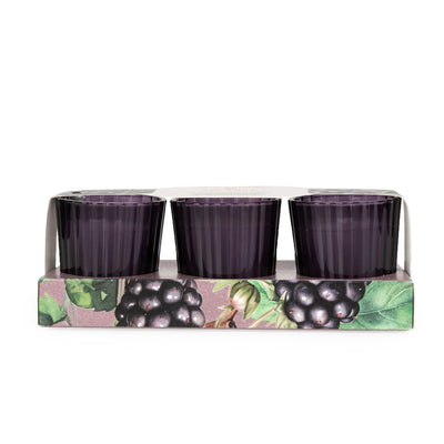 Candlelight Home SET OF 3 VOTIVES BLACKBERRY & FIG TREE - 5% BLACKBERRY & FIG TREE SCENT