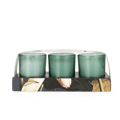 Candlelight Home SET OF 3 VOTIVES LOTUS & WILD LILY - 5% LOTUS & WILD LILY SCENT