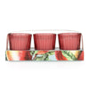 Candlelight Home SET OF 3 VOTIVES MANGO & HONEY - 5% MANGO & HONEY SCENT