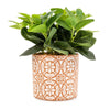Candlelight Home Artificial Plants & Flowers Green Plants in Red Cement Pot (MO) 1PK